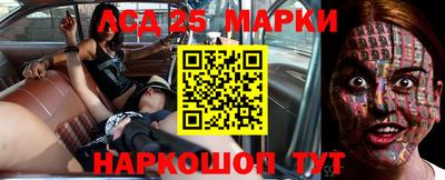 гашик Берёзовский