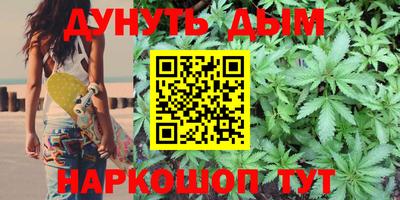 гашик Берёзовский