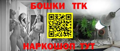 гашик Берёзовский