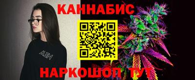 трава Бийск