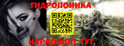 гашик Берёзовский