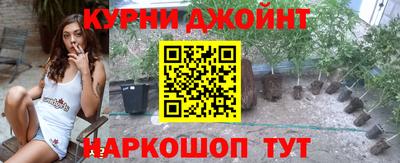 трава Бийск